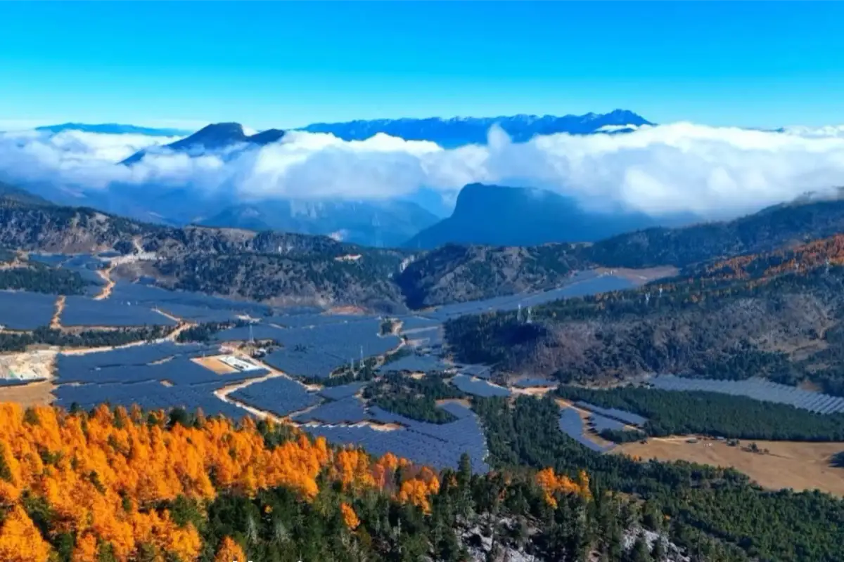 What Are the Disadvantages of Solar Trackers?